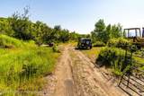 TBD Black Diamond Mine Road - Photo 20