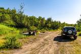 TBD Black Diamond Mine Road - Photo 21