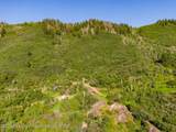 TBD Black Diamond Mine Road - Photo 27