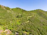 TBD Black Diamond Mine Road - Photo 28