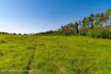 TBD Black Diamond Mine Road - Photo 54
