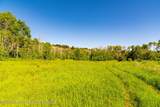 TBD Black Diamond Mine Road - Photo 55
