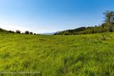 TBD Black Diamond Mine Road - Photo 57