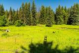 TBD Black Diamond Mine Road - Photo 74