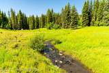 TBD Black Diamond Mine Road - Photo 80