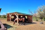 10341 Tongue Creek Road - Photo 22