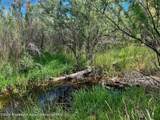 1797 County Road 346 - Photo 27