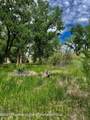 1797 County Road 346 - Photo 36