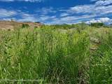 1797 County Road 346 - Photo 38