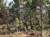 3292 Elk Springs Drive - Photo 4