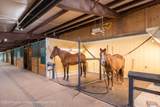 1900 Co Rd 103 - Photo 44