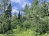 LOT 16B Mountain Springs Road - Photo 16