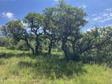 LOT 16B Mountain Springs Road - Photo 18