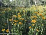 LOT 16B Mountain Springs Road - Photo 6