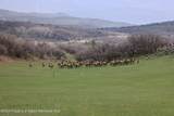 tbd County Road 100 - Photo 20