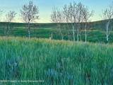 TBD County Road 5 - Photo 19