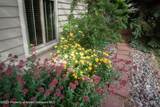 592 Canyon Creek Drive - Photo 31