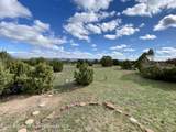 9501 County Road 10 - Photo 42