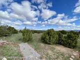 9501 County Road 10 - Photo 43