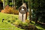 294 Snowmass Club Circle - Photo 19