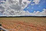 2090 15 1/2 Road - Photo 15