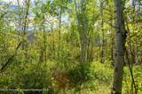 TBD Coal Creek Road - Photo 18