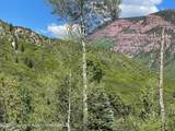 TBD Coal Creek Road - Photo 19