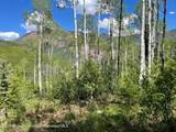 TBD Coal Creek Road - Photo 21