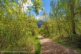 TBD Coal Creek Road - Photo 3