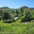 22991 Divide Creek Road - Photo 9