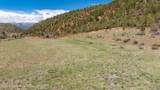 TBD County Road 117 - Photo 7