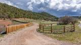 TBD County Road 117 - Photo 9