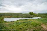 14651 County Road 3 - Photo 42