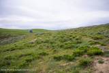 14651 County Road 3 - Photo 45