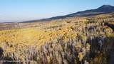1136 Dipper Drive Lot 205 - Photo 29
