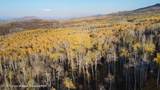 1136 Dipper Drive Lot 205 - Photo 35