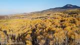 1136 Dipper Drive Lot 205 - Photo 36