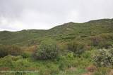 TBD County Road 313 - Photo 13