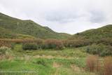 TBD County Road 313 - Photo 8