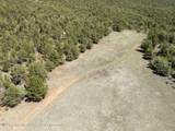 TBD Grass Valley Road - Photo 18