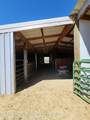 449 County Road 223 - Photo 8