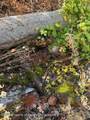 349 Crystal Circle - Photo 14