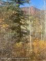 349 Crystal Circle - Photo 18