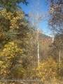 349 Crystal Circle - Photo 19