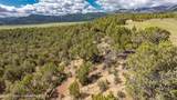 TBD County Road 319 ( Parcel 2) - Photo 4
