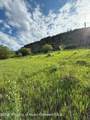354 Snowmass Creek Road - Photo 28