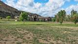 203 Native Springs Drive - Photo 6