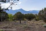 34797 Powell Mesa Road - Photo 12