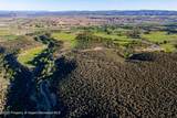 34797 Powell Mesa Road - Photo 16