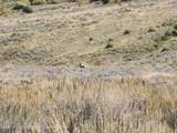 TBD Divide (Mont's Draw) Road - Photo 5